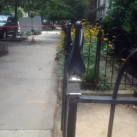 Ornamental Railing